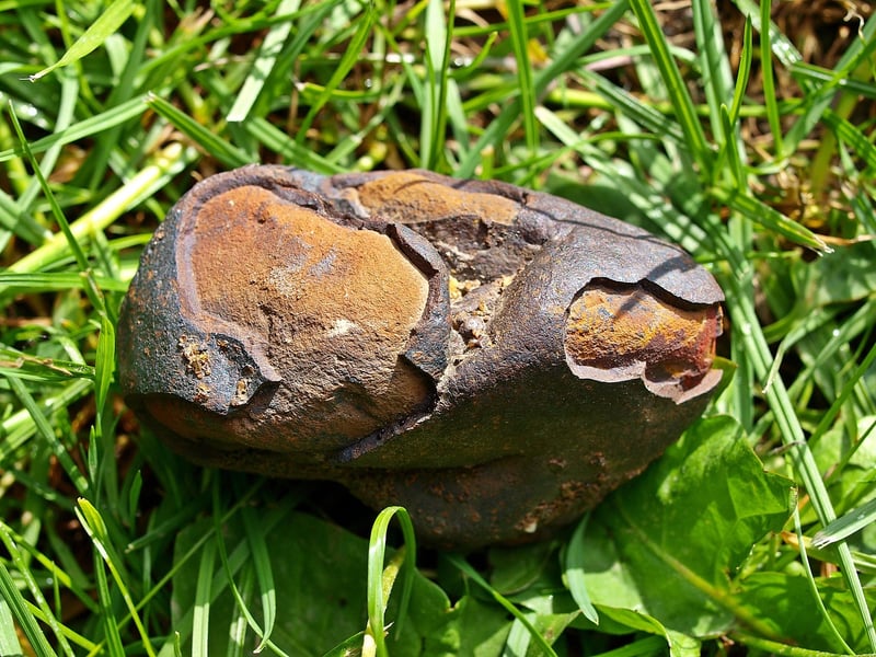 Meteorite